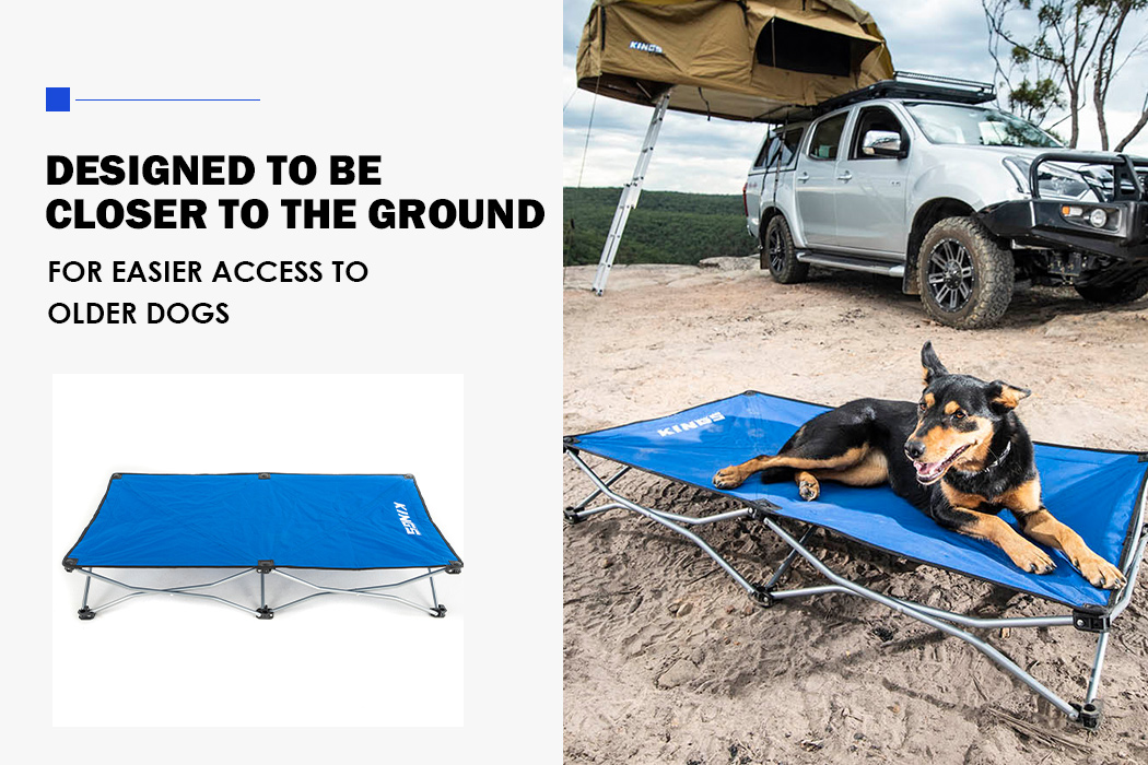 Adventure Kings Folding Outdoor Travel Dog Pet Bed Camping 50kg Tough Portable eBay
